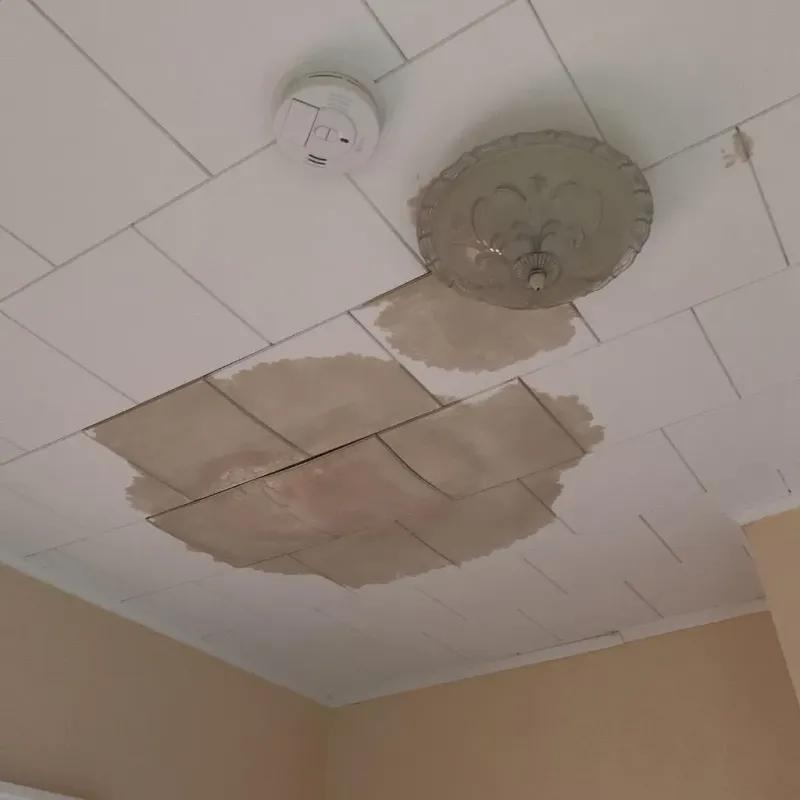 Ceiling Water Damage Repair in Markle, IN