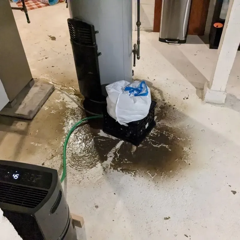 Sewage Backup Cleanup Service in Markle, IN